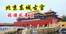 午后三级片看操逼逼逼逼逼中国北京-东城古宫旅游风景区